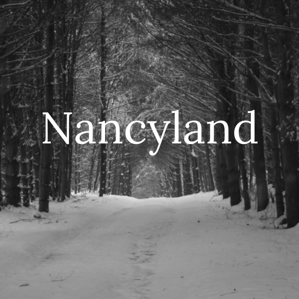 An image in black and white. A snowy path through the woods. The words "Nancyland".